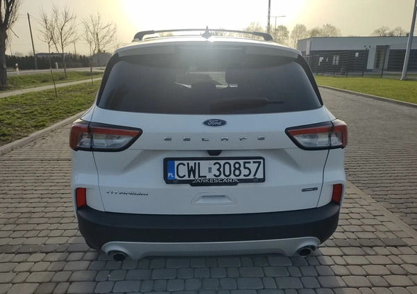 Ford Kuga cena 105000 przebieg: 105000, rok produkcji 2020 z Czeladź małe 667